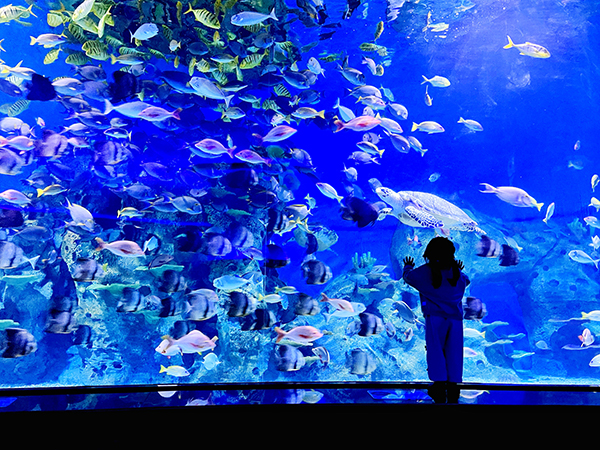 一等獎 探索.jpg